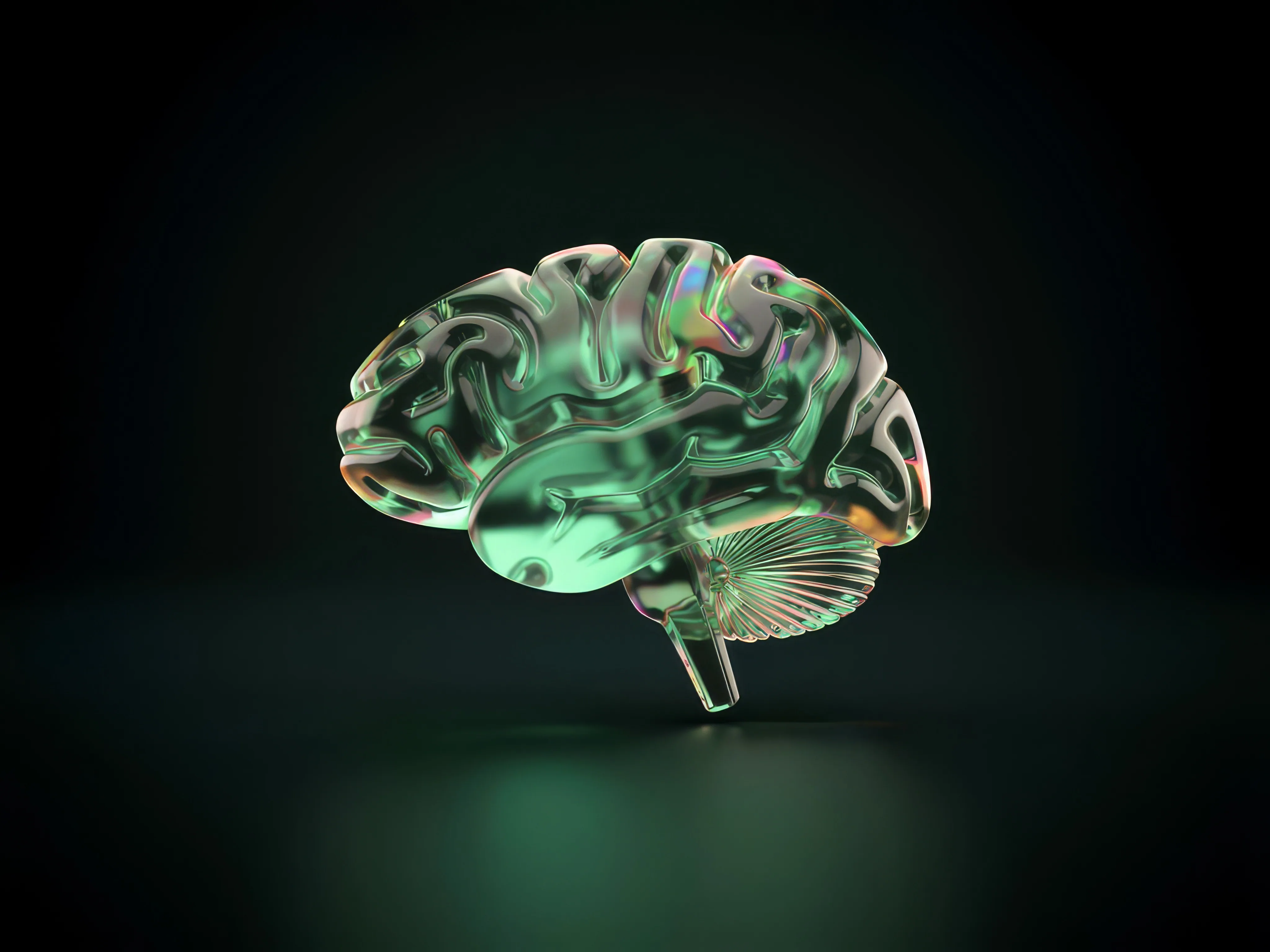brain